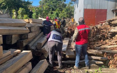 FFAA decomisa más de 9,000 pies tablares de madera aserrada en Esparta, Atlántida