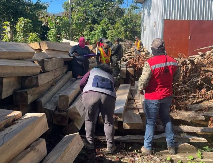 FFAA decomisa más de 9,000 pies tablares de madera aserrada en Esparta, Atlántida