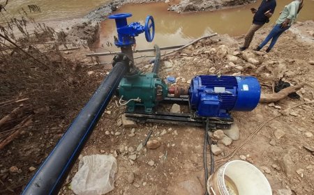 Detienen a tres personas por explotación ilegal de recursos naturales en Olancho