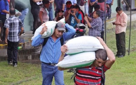 1,300 agricultores se benefician con bono tecnológico