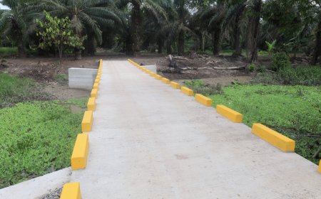 Con puente potencia economia y producción en Kele Kele, Ramal de Lima.