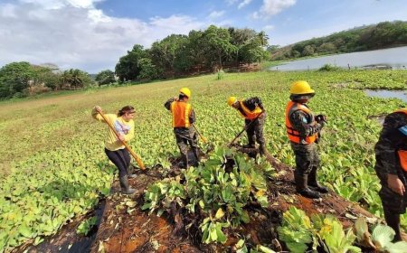 Recuperan espejo de agua en la Laguna Ticamaya, Choloma