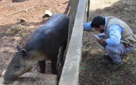 ICF al rescate de animales de zoológico Joya Grande en Santa Cruz de Yojoa