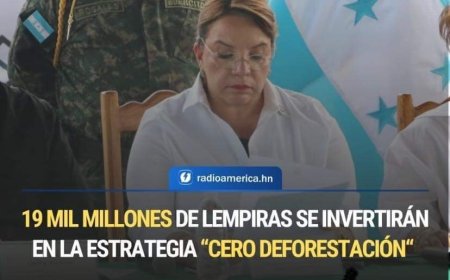 L19,000 millones dará el Gobierno para programa 'Cero deforestación' en Honduras