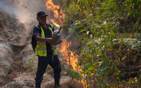 Gobierno inicia investigación si hay mano criminal en incendio en El Merendón en SPS