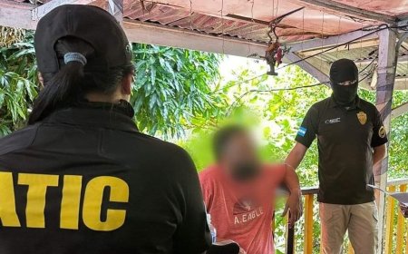 Seis miembros de estructura criminal de tráfico de cocaína son capturados en la Operación Patriarca