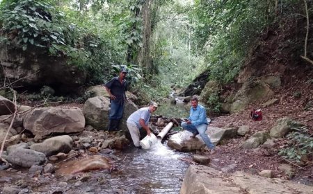 El SANAA trqbaja fuerte en actividades para el mejoramiento del servicio de agua