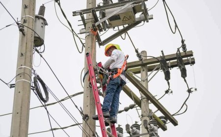 La ENEE intensifica operativos de auditoria para evitar hurto de energia en el Valle de Sula