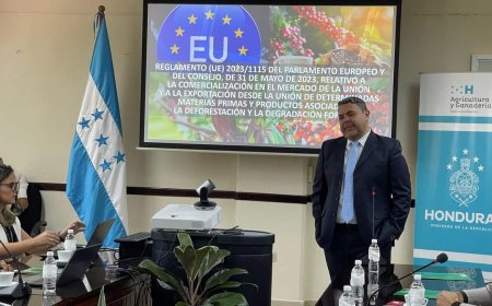 En la SAG revisan normativas exigidas por la UE en exportación de materia prima