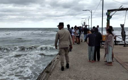 Alarma por presencia de cocodrilo en las playas de Tela