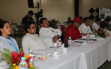 Más de 7 millones de quintales de café exportará en 2023 el sector cafetalero de Honduras