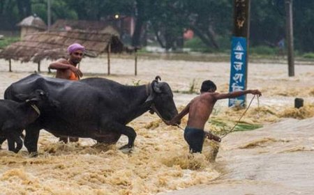 8 muertos y 28 desaparecidos en inundaciones en Nepal