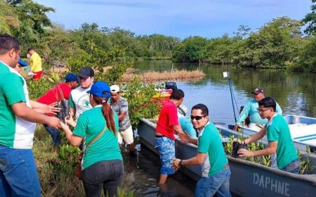 Reforestan la Laguna de Alvarado en Puerto Cortés