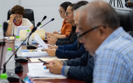 Ediles porteños aprueban una serie de proyectos en su ultima sesión