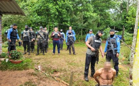 Lo capturan con 2,245 plantas de marihuana en Moroceli, El Paraiso