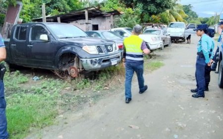 Decomisan carros abandonados y estacionados en la via publica en Tela