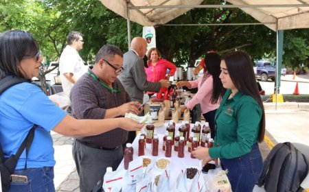 SAG, FAO y Rikolto realizarán II Foro Nacional de Inversiones en café, cacao y miel