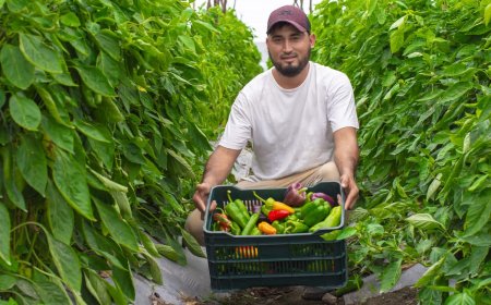 Productor hondureño cumple su sueño con programa 'Tierra Fértil' de Walmart
