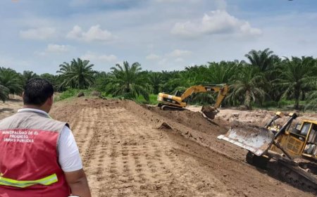 En un 95% se encuentra la reconstrucción de bordos en el Rio Ulúa