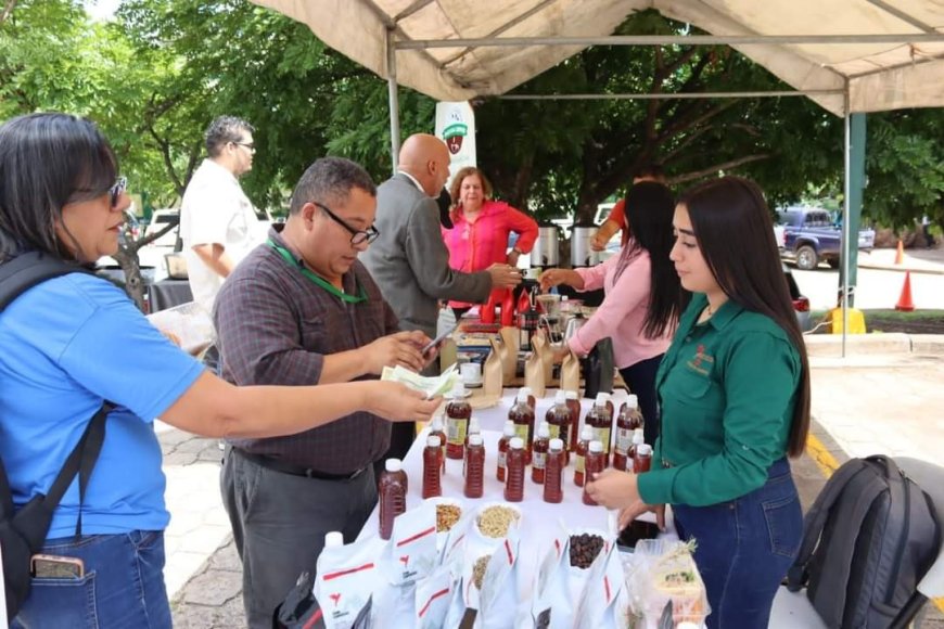 SAG, FAO y Rikolto realizarán II Foro Nacional de Inversiones en café, cacao y miel