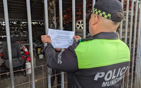 Alcaldia de El Progreso ejecuta cierre masivos de negocios morosos con los impuestos.