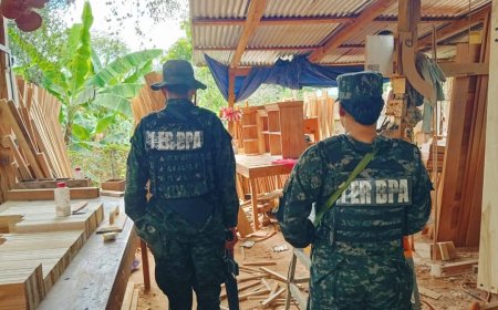 Decomisan madera en Olancho