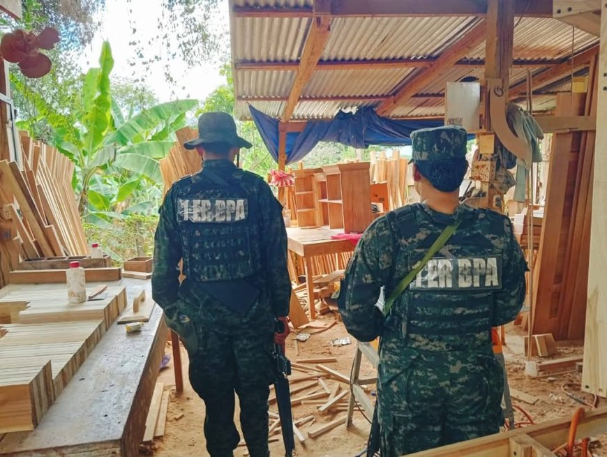 Decomisan madera en Olancho