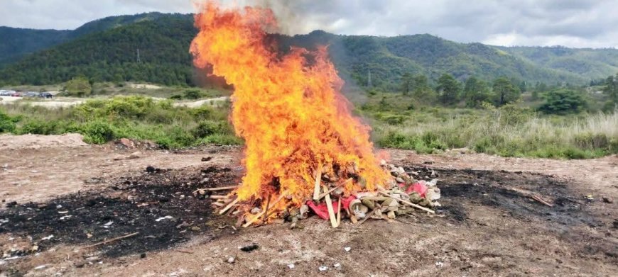 Incineran droga en Tegucigalpa