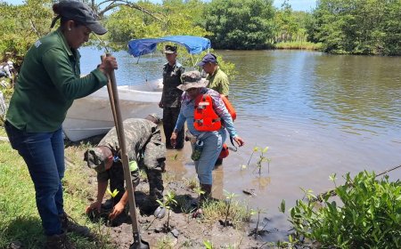 Porteños trabajan para un Puerto Cortés verde