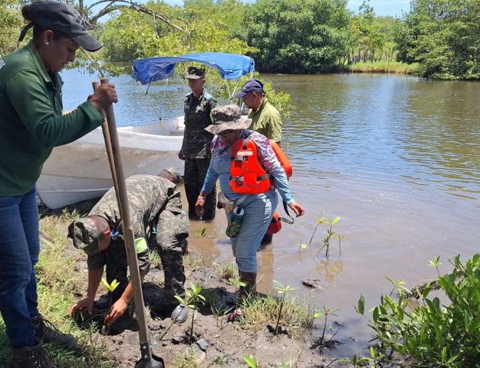 Porteños trabajan para un Puerto Cortés verde