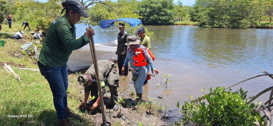 Porteños trabajan para un Puerto Cortés verde