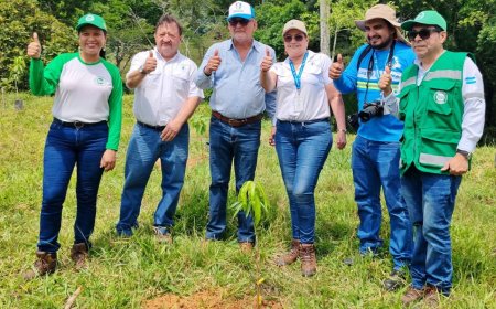 Choloma: Lanzan proyecto de reforestación " Sembrando un mejor mañana"