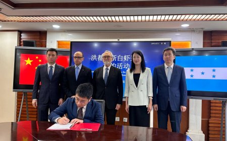 Honduras y China firman compromiso para la exportación de 3,000 toneladas métricas de camarones