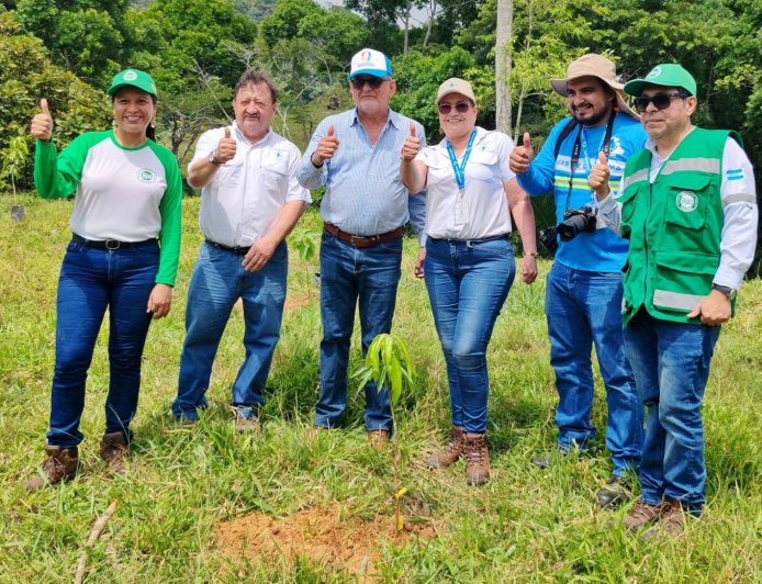 Choloma: Lanzan proyecto de reforestación " Sembrando un mejor mañana"