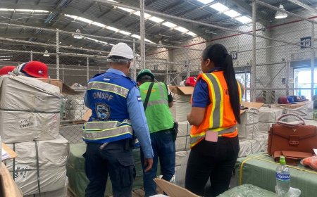 Decomisan contenedor con mercadería pirata con valor de L12.3 millones