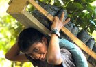 Honduras registra ingresos record por exportación de café