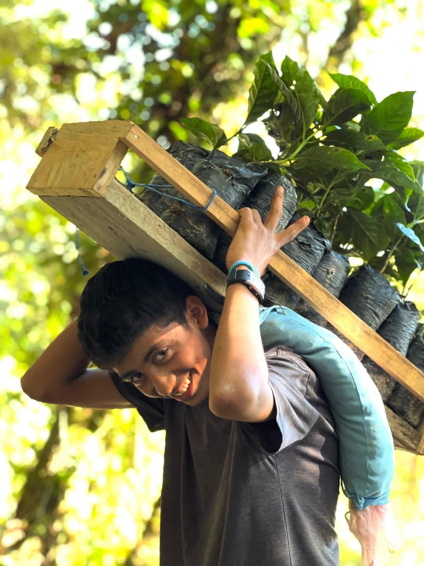 Honduras registra ingresos record por exportación de café