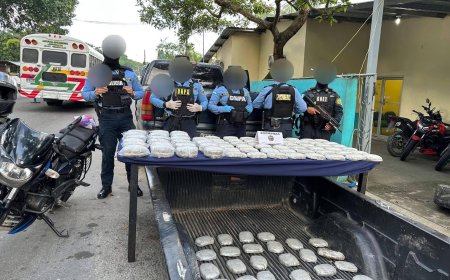 Decomisan 125 paquetes de supuesta droga en La Ceiba