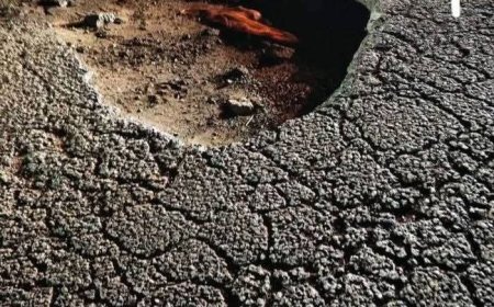 Por unanimidad, Congreso Nacional, aprueba Ley especial de emergencia vial.