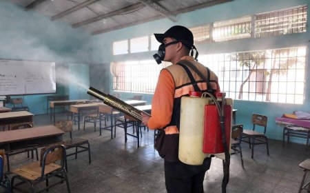 Alcaldia capitalina y COPECO inicia campaña de fumigación contra el dengue