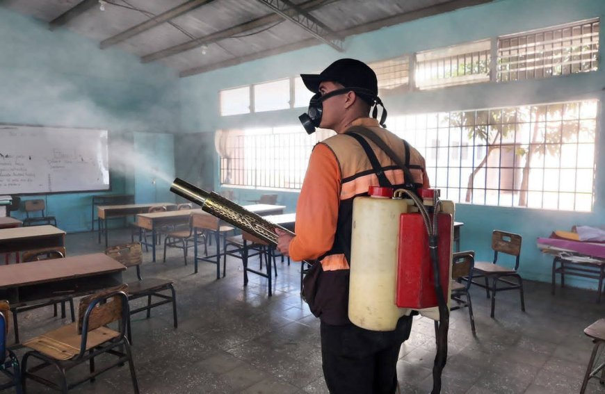 Alcaldia capitalina y COPECO inicia campaña de fumigación contra el dengue