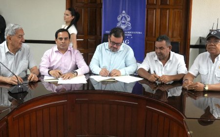 Gobierno de Honduras, agroindustria y productores firman acuerdo marco para compra de maíz blanco