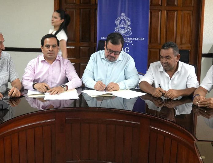 Gobierno de Honduras, agroindustria y productores firman acuerdo marco para compra de maíz blanco