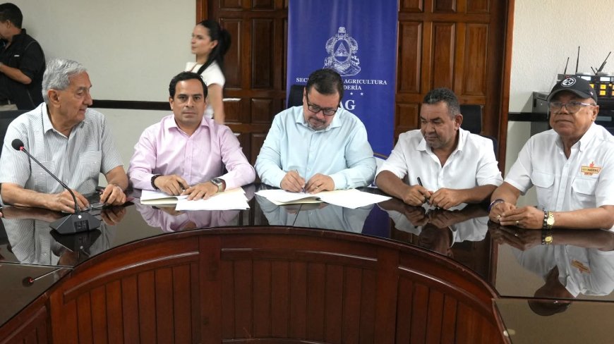 Gobierno de Honduras, agroindustria y productores firman acuerdo marco para compra de maíz blanco