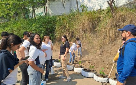 Alcaldia de Villanueva, Cortés y universitarios desarrollan jornada de conciencia ambiental