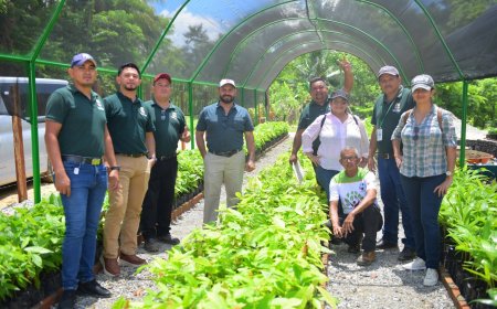 Alcaldia de Puerto Cortés inaugura primera etapa de vivero tipo domo doble