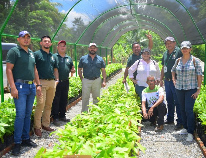 Alcaldia de Puerto Cortés inaugura primera etapa de vivero tipo domo doble
