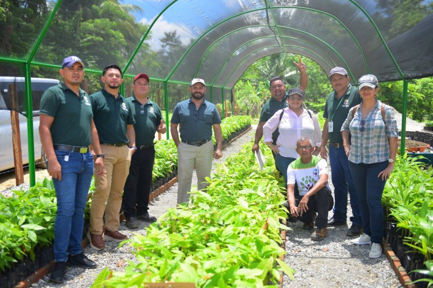 Alcaldia de Puerto Cortés inaugura primera etapa de vivero tipo domo doble