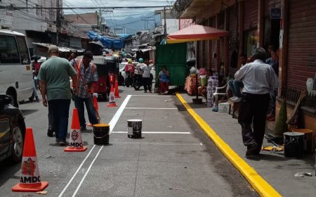 Alcaldia señaliza y ordena puntos de taxis en Tegucigalpa