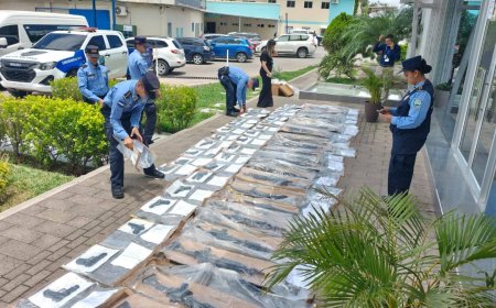 Policia Nacional recupera 50 armas de fuego institucionales